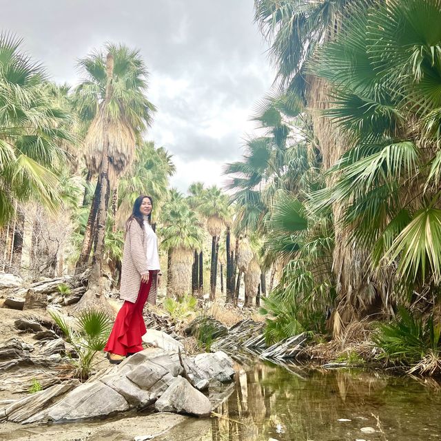 Indian Canyon, Palm Springs อเมริกา