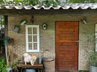 พาน้องหมามาเที่ยวญี่ปุ่นกัน ที่คาเฟ่ระยอง