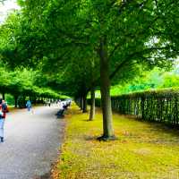 THE SCENIC REGENT"S PARK & PRIMROSE HILL!