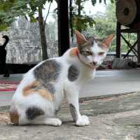 Whispers of Tranquility: Preah Ang Kok Thlok