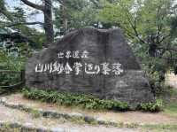 造訪世界遺產 @ 白川鄉合掌造聚落