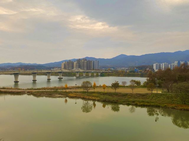 남한강 뷰를 보며 고급 커피를 즐길 수 있는 초대형 스타벅스, 스타벅스 더양평DTR점☕️