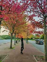 The Beautiful Warm Colors of Autumn in UK