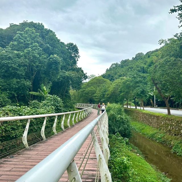 帽峰山森林公園🏔️自然之美