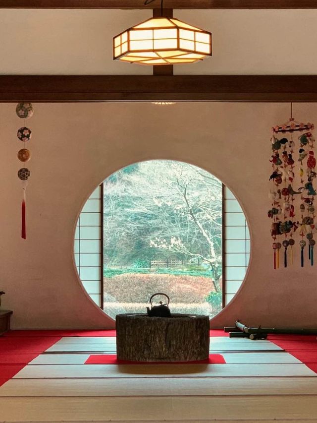 【明月院】鎌倉にあるモダンでシックなお寺🫶🏼🖤🫧【神奈川県】