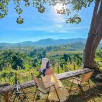 ที่พักเปิดใหม่เขาค้อ สไตล์แกลมป์ปิ้ง ฟีลดีมาก เพียงคนละ 590 บาท🏕️⛰️