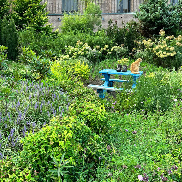Jeju herb garden