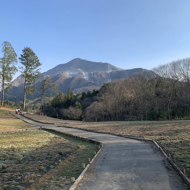 【秩父】羊山公園