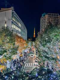 Winter illumination in Roppongi 