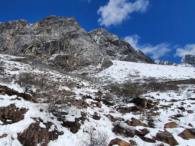 Zero Point & Yumthang Valley