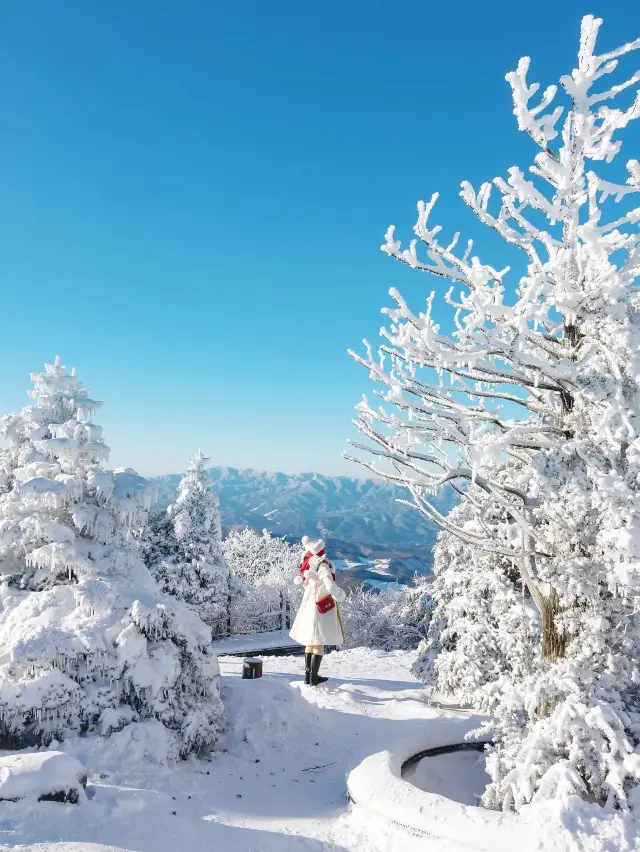 새하얀 눈꽃의 천국 발왕산 상고대❄️