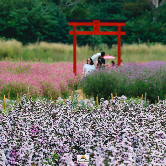Hokkaido Flower Park Khaoyai