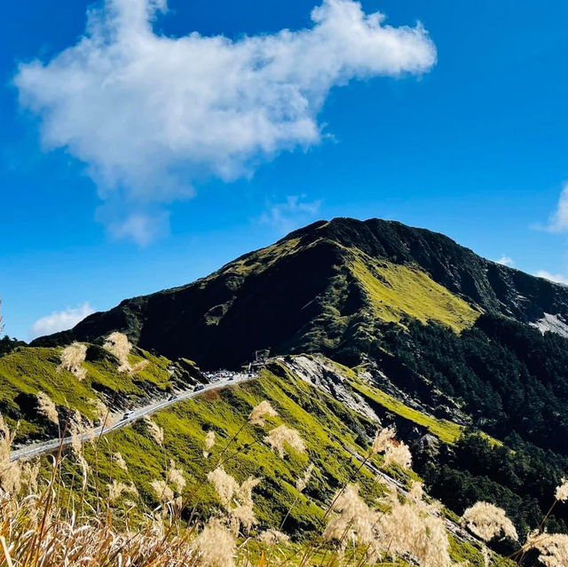 超好爬的百岳之一 合歡主峰海拔3417M