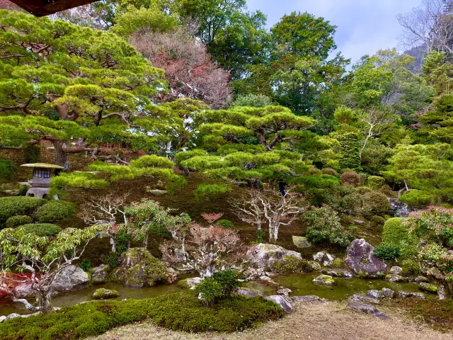 滋賀古竹林院：歴史と静寂の調和 🎋🏯
