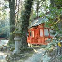 【大分】九州のパワースポット！宇佐八幡宮