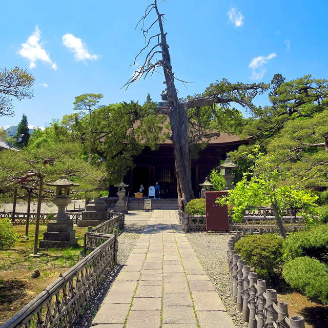 A must-visit temple in Nagano