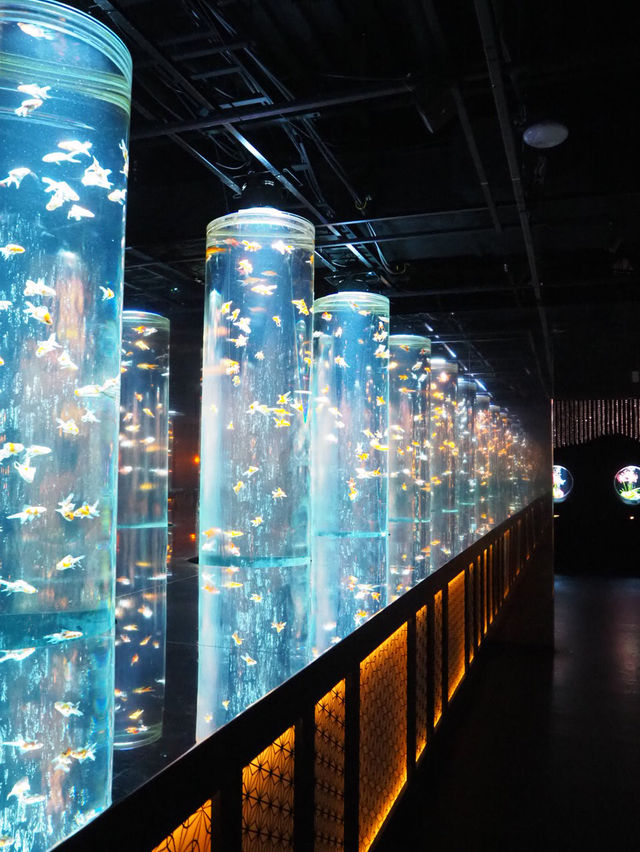 【東京(銀座)】季節ごとに楽しめて、この冬に行きたい！金魚のアートアクアリウム