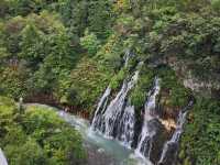 Shirahige Waterfall 