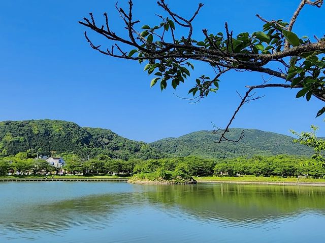 Ōike Park