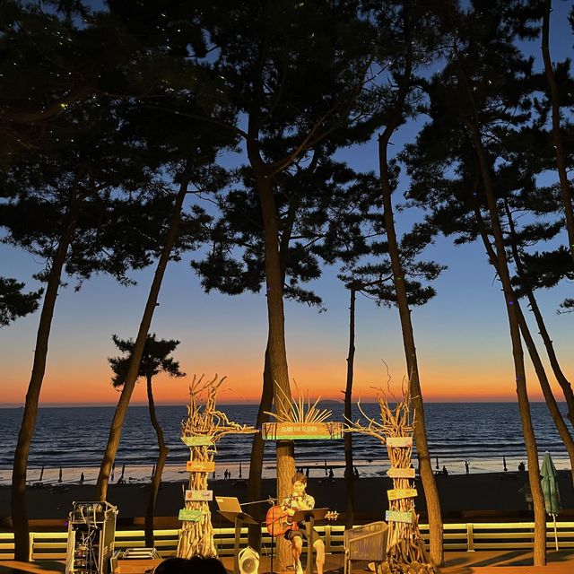 🏖️ 안면도 : 🌅 노을 맛집!! 아일랜드 리솜💙😍