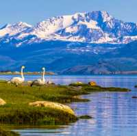 We suggest the following tours for you