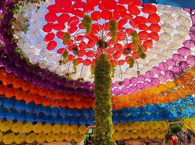 Dubai Miracle Garden