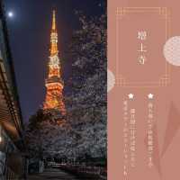 おすすめ！東京タワー桜スポット🗼🌸