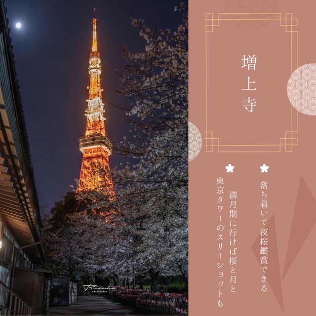 おすすめ！東京タワー桜スポット🗼🌸