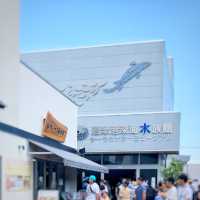 沼津の食スポット港八十三番地