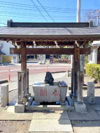 【仙波日枝神社/埼玉県】赤坂の日枝神社の本社