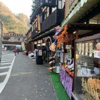 【日本三名瀑のひとつ★】袋田の滝