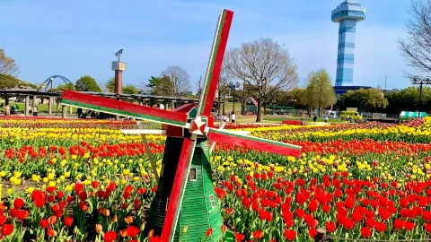 ศูนย์สวนสาธารณะคิโสะ ซันเซ็น — traveler post in Kaizu