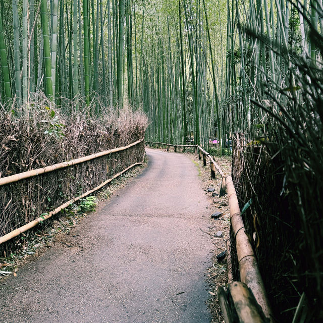 ⛩️🌸京都三千院🍁🚞嵐山小火車