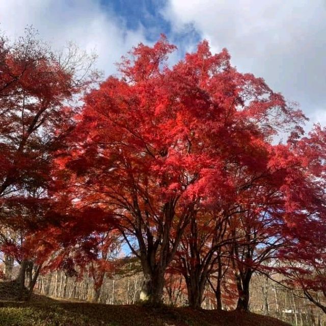 Yamakata