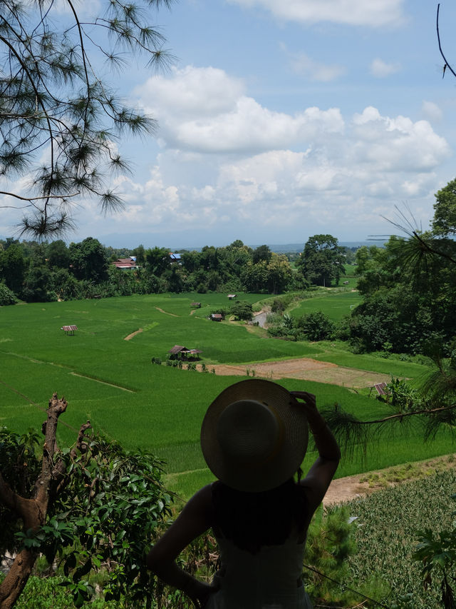 ฟาร์มเห็ดบ้านหัวน้ำ น่าน 🌾