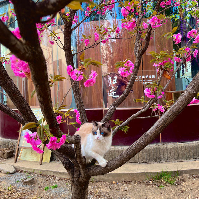 😎 The coolest area in Beijing- 798 ART DISTRICT 🎨