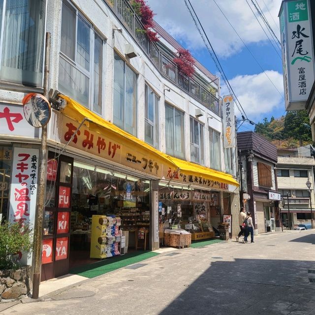 【長野県】湯治の村⭐野沢温泉⭐