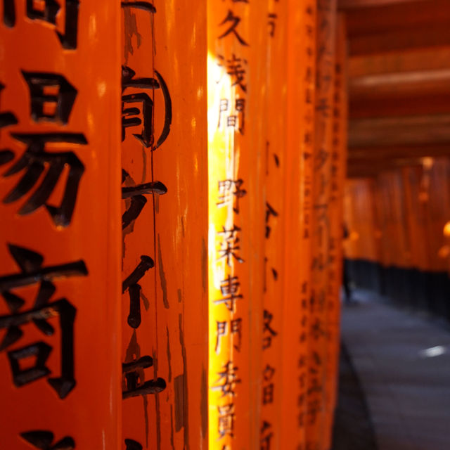 Thousand of Vermilion Torii Gates