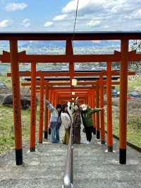 【福岡】連なる鳥居の先にある見晴らしのいい神社