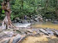 เขตรักษาพันธุ์สัตว์ป่า โตนงาช้าง