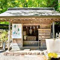 【長野県/戸隠神社奥社】天の岩戸神話に登場する神様を祀る神社