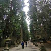 อาบป่า ณ ศาลเจ้า Fuji sengen shrine