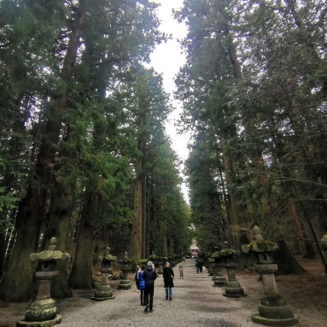 อาบป่า ณ ศาลเจ้า Fuji sengen shrine  อาบป่า ณ ศาลเจ้า Fuji sengen shrine