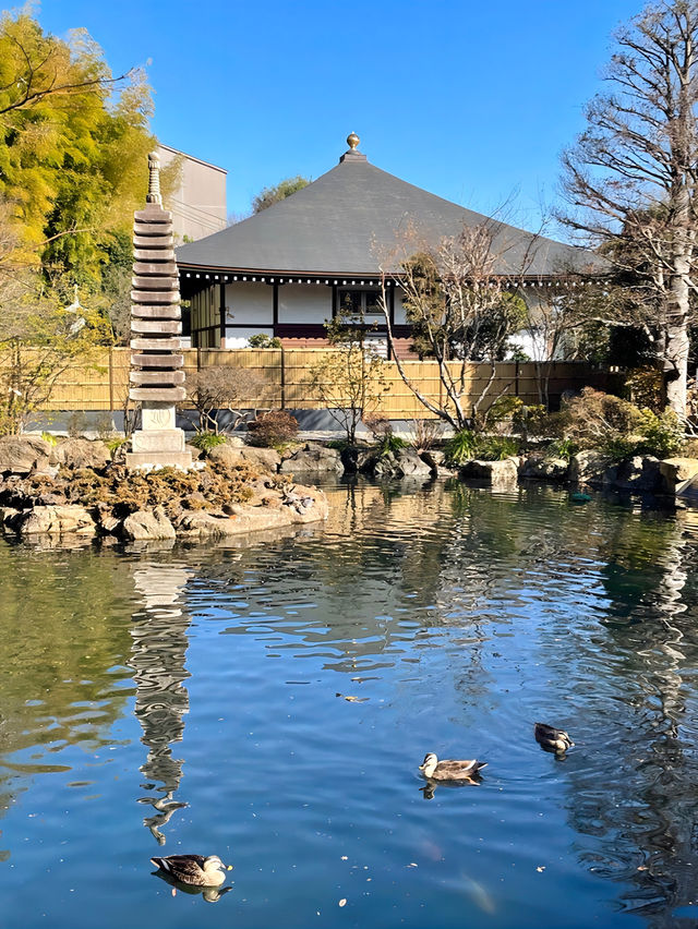 【貫井神社/東京都】湧水流れる美しい境内