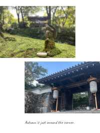 【京都】紅葉シーズンにも期待🍁