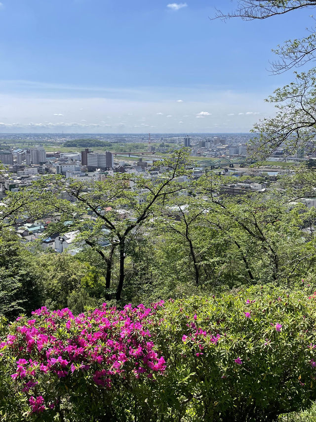 【織姫公園/栃木県】眺めよく、つつじ・藤が見られる