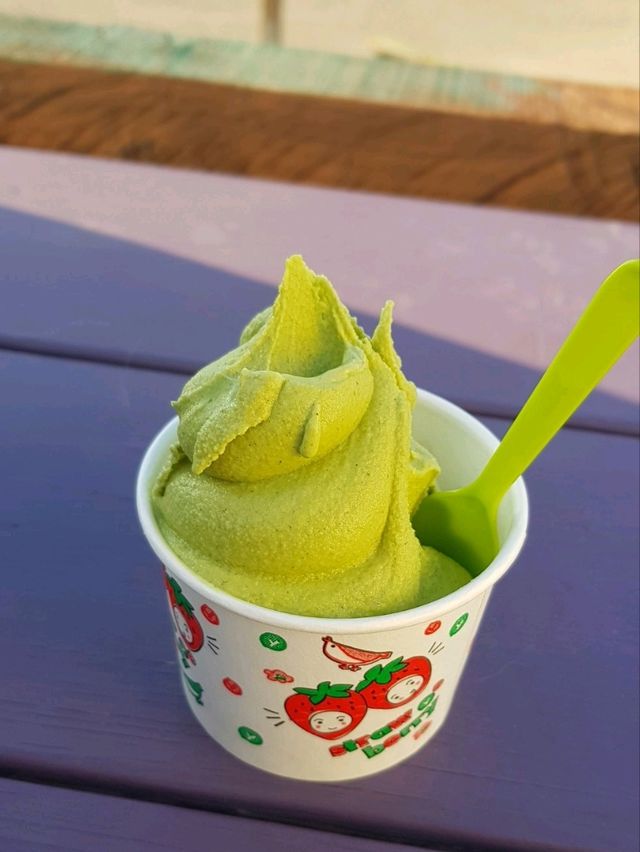 계절마다 청보리, 유채꽃이 펼쳐지는 가봐야하는 섬 가파도