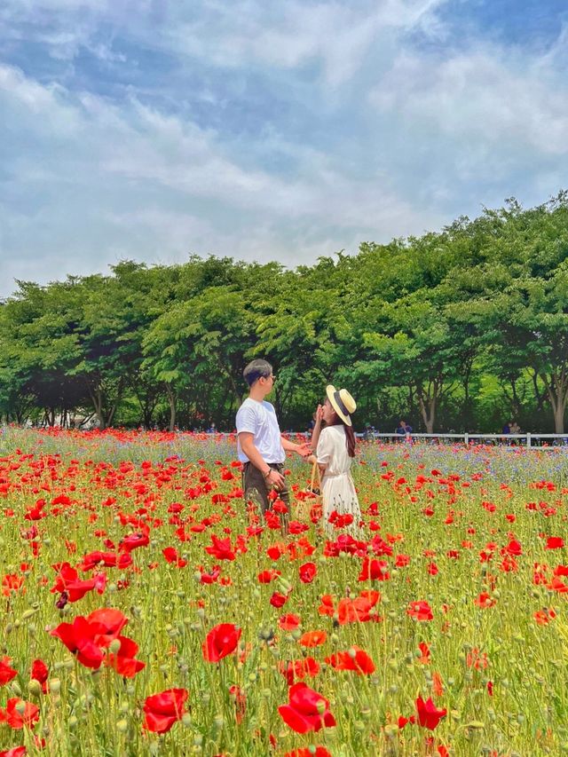 5월에 볼 수 있는 서울 근교 꽃 여행지 🌼❤️