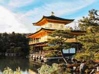 Golden Pavilion of Kyoto 🇯🇵