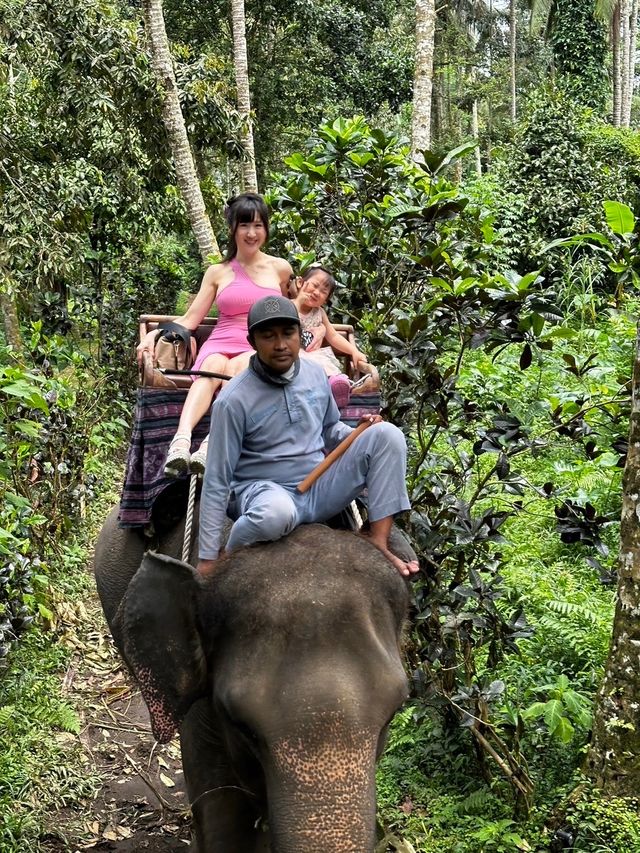 峇里島大象公園